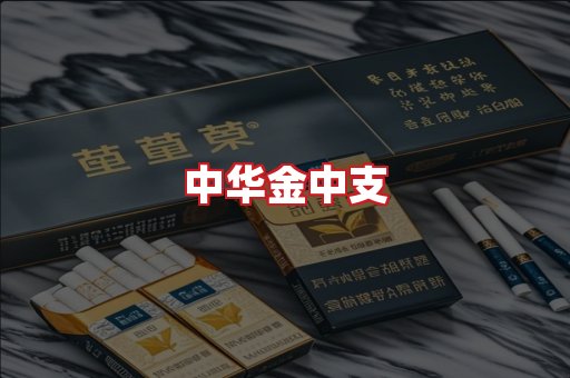 中华金中支